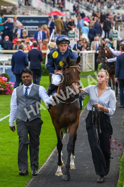 240823-Race 5-Sea Theme-0631 - Race 5 4.10pm British EBF & Sir Henry Cecil Galtres Stakes