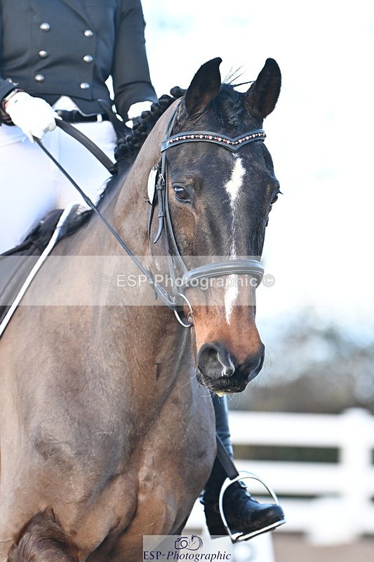 240218A-085852-04614 - 279-TILA.DA.COSTA-Leomiro