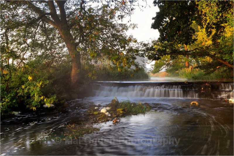 Misty Dawn - Nottinghamshire