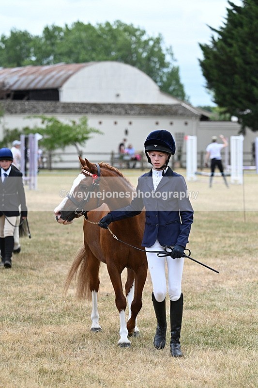 WJ7_1413 - Class 4 Prettiest Mare up to 14.2hh in hand