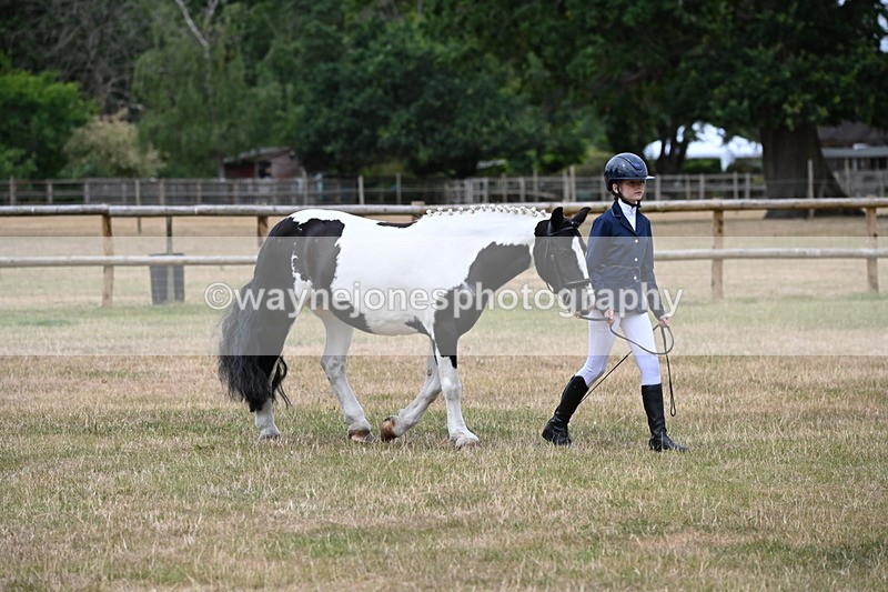WJ6_4567 - Class 10 Coloured In-hand
