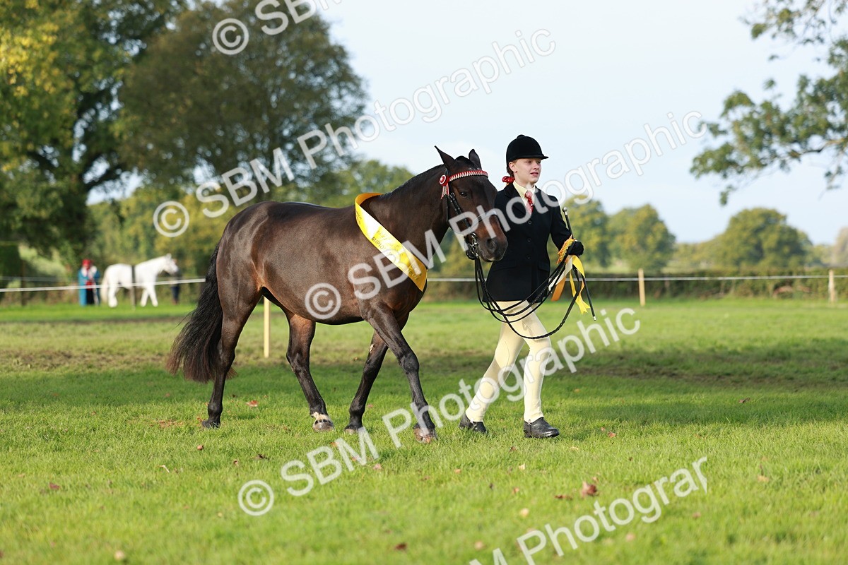 SBM_57105 - S38 - Starters Best Turnout