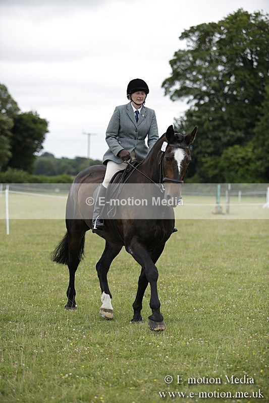 BVR160717-1520 - Ring 1 BVRC Show 16/07/17