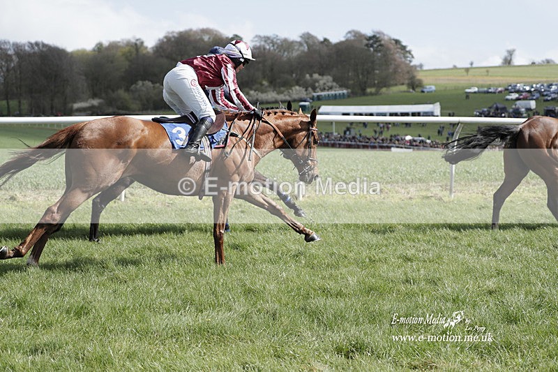 PtP 100423 505 - Old Berkshire Point-to-Point Lockinge 10/04/23