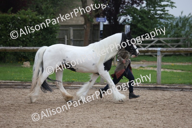 20260504-1371 - Class 8 - Cob and Hunter