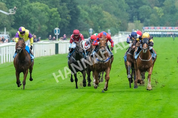 080925-Race 2-Alzahir-7822 - Race 2 3.00pm Sky Bet Super Sub Sprint Handicap