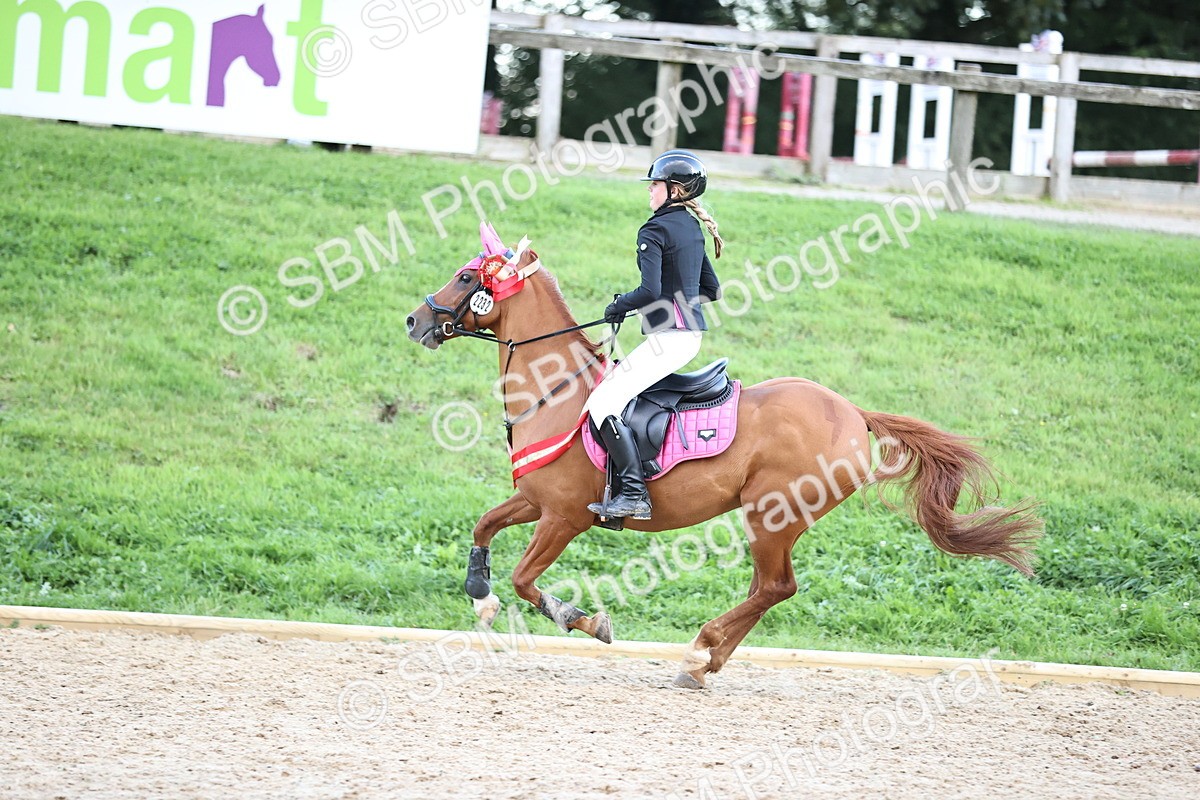 SBM_54454 - Supreme Championship 70cm 75cm