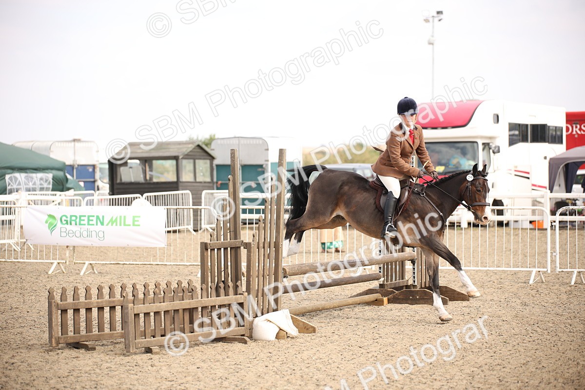 SBM_16079 - Class 408b - Working Veteran 70cm (20+)