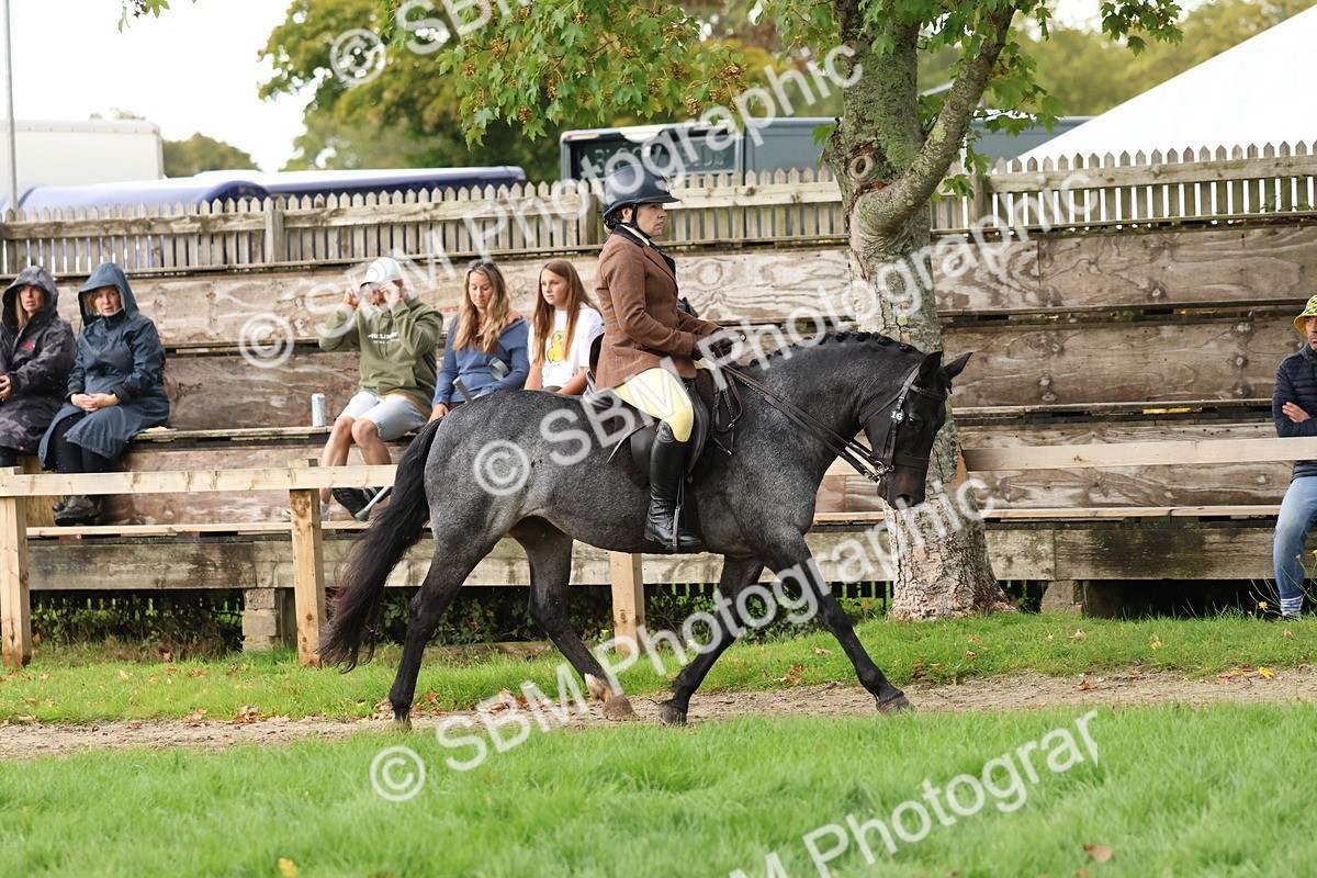 SBM_44949 - S27 - Young Veteran Ridden