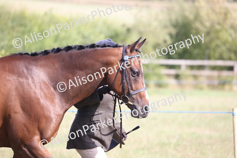 20260906-0651 - Class 22 - Ex Racehorse