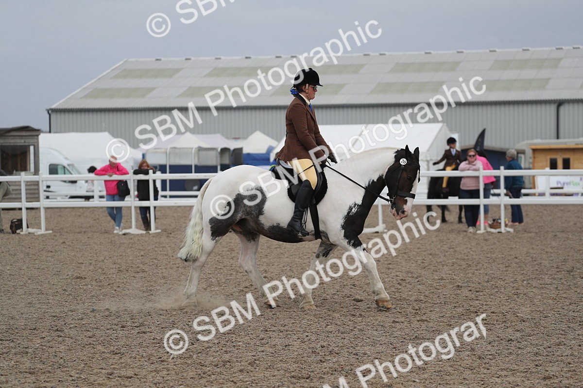 SBM_17406 - Class 315 Best Horse/Rider Combination