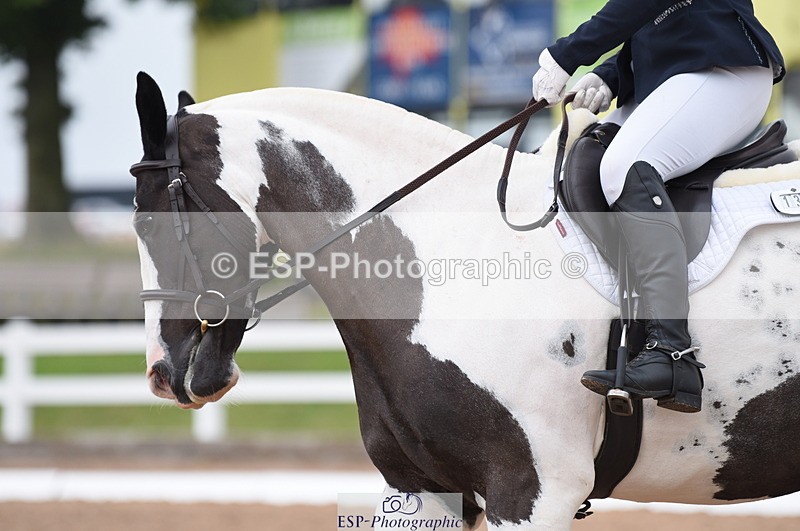 230708A-104504-01442 - Prelim 7