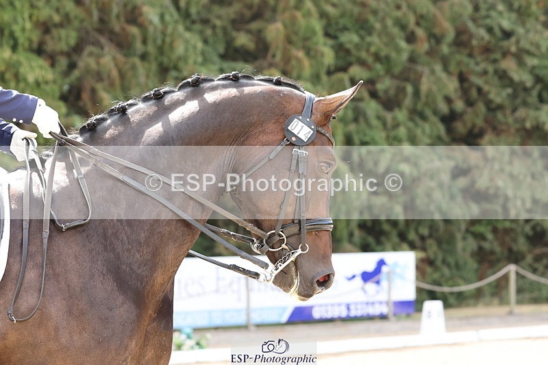 250809A-105409-03009 - 020-Scarlett.LaiFairfax.111