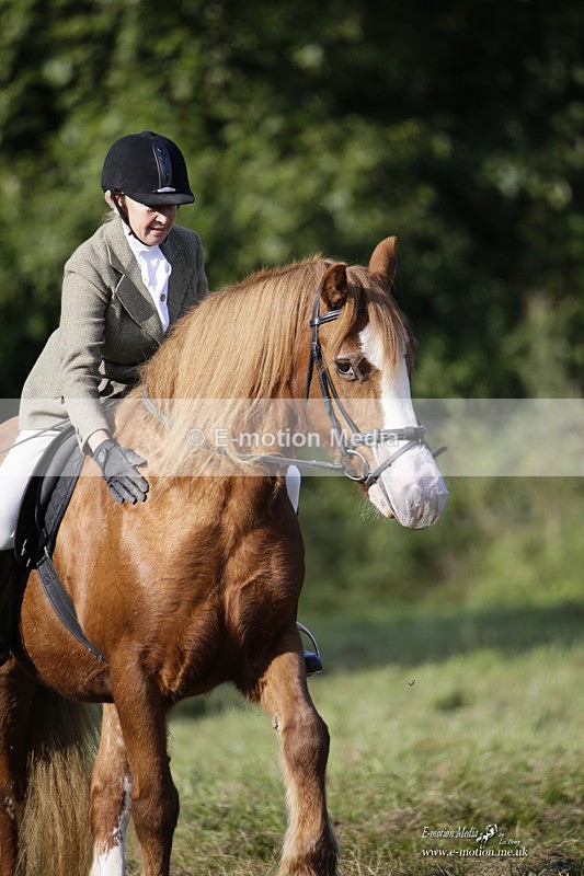 BVRC 120921 53 - Bourne Valley Riding Club UA Dressage & Show Jumping 12/09/21