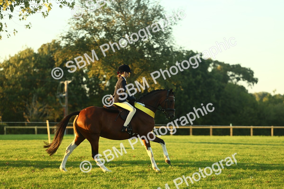 SBM_56618 - Fun & Versatile Supreme Championship