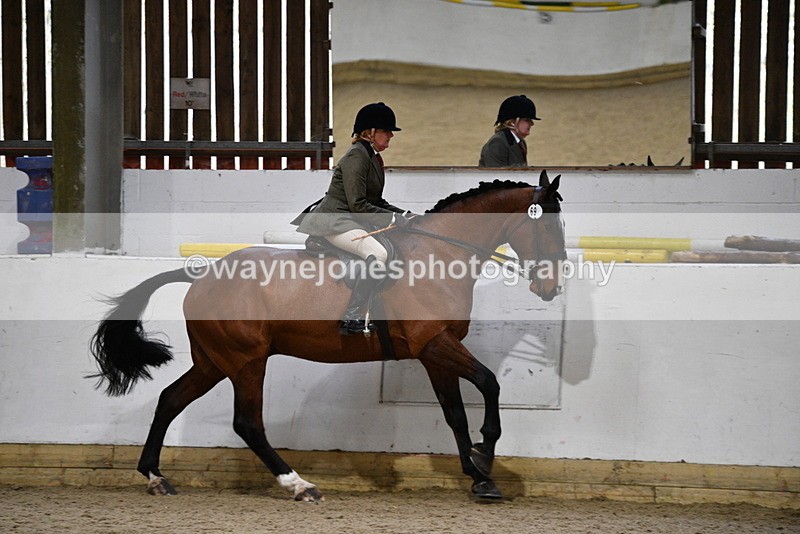 WJ5_9018 - Class 15 Ridden Show Horse