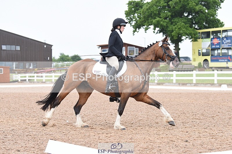 230708A-125804-01822 - Prelim 7