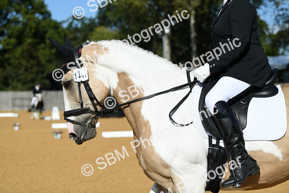 SBM_25108 - D13 - Grand Tour Championship - Prelim 12