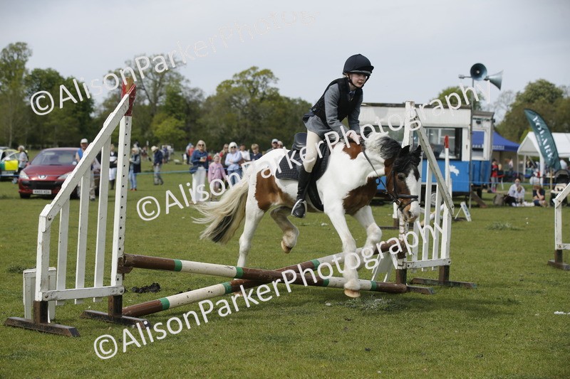 20260426-4662 - Class 5 - Hoof and Foot