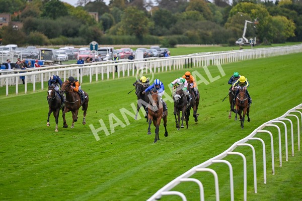 101025-Race 3-Mukhtalif-6391 - Race 3 William Hill Each Way Extra Handicap at York