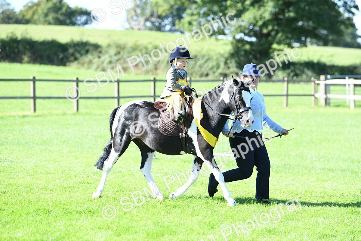 SBM_37100 - S18 - Novice & Newcomers Lead Rein Pony