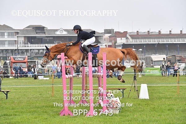 BPP_6743 - CLASS 2 RHS Classic Champ Qual (1.20m)