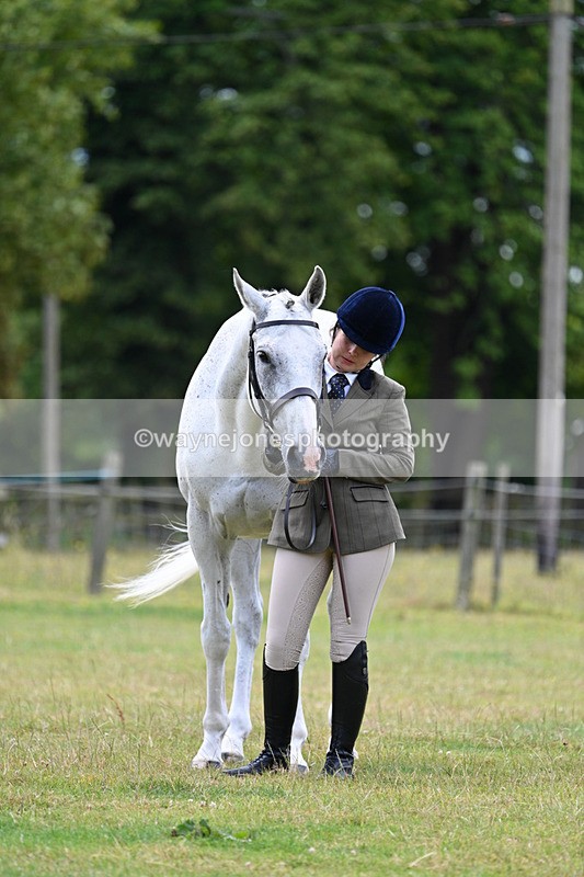 WJ7_7110 - Class 5a Most Handsome Gelding in Hand