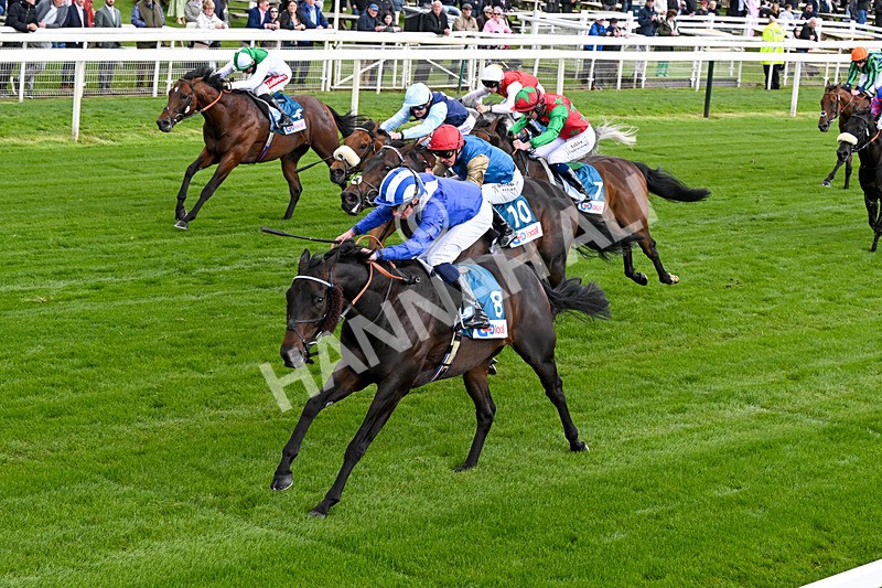 130526-Race 4-Elmonjed-0244 - Race 4 3.30pm Go Local Stores Minster Stakes