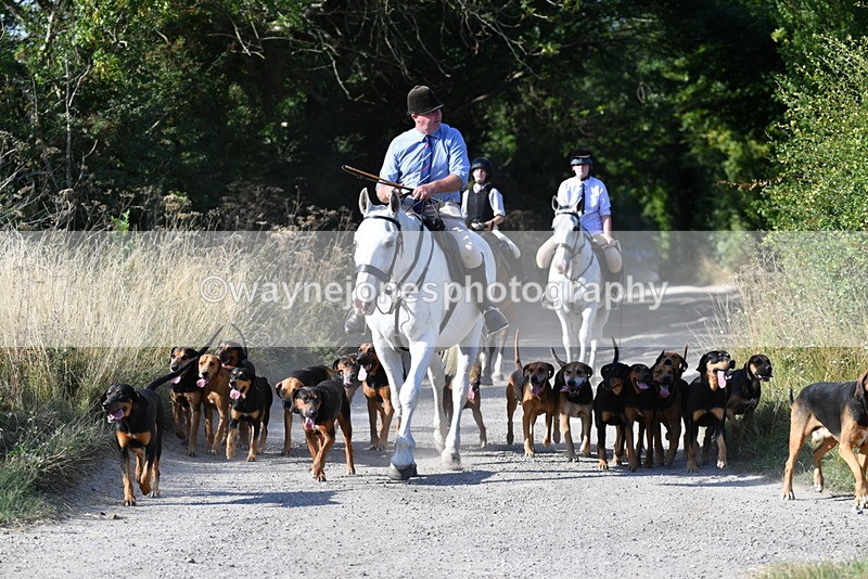 WJ5_4800 - Walk out with the hounds