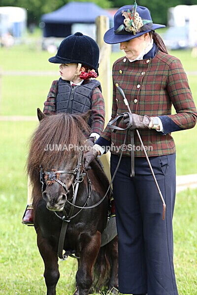 IMG_2213 - Working Hunter