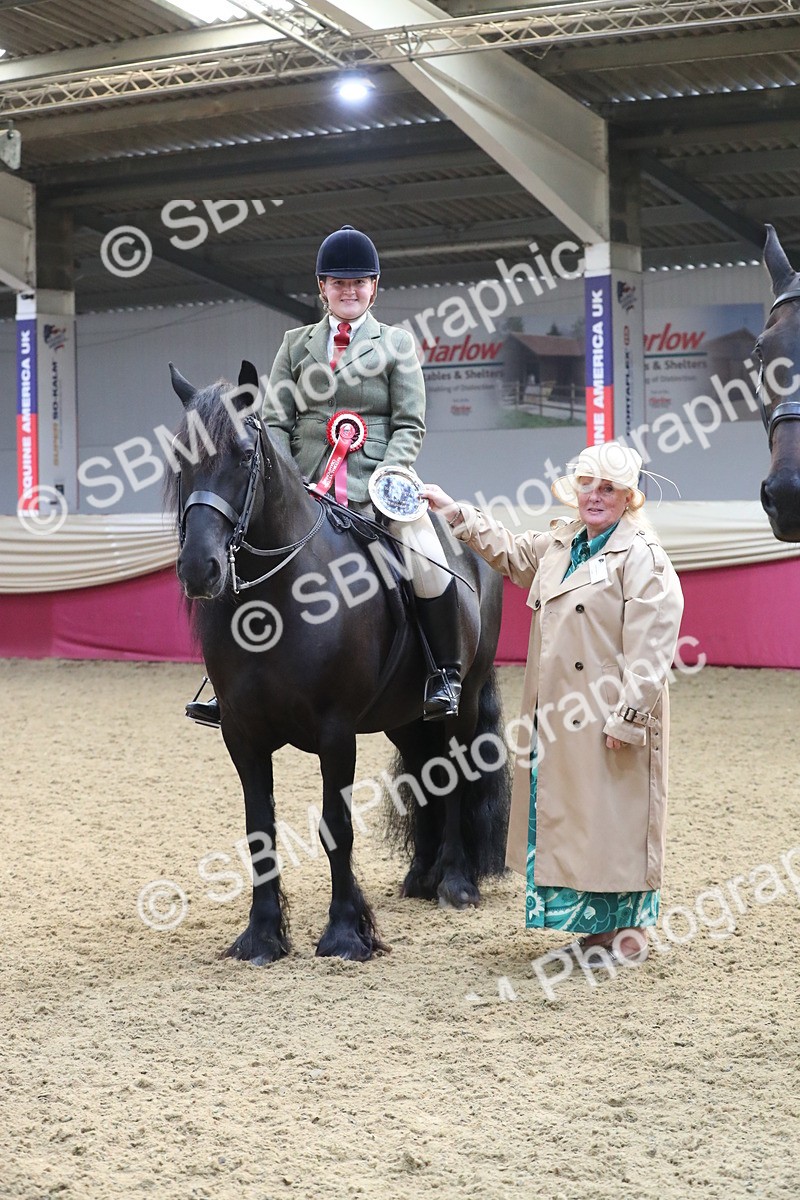 SBM_10445 - Class 102 Equitation (best rider) Adult