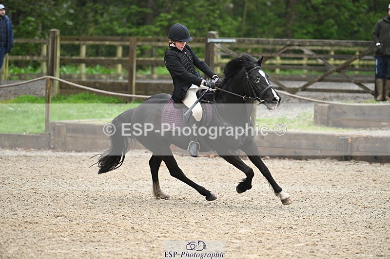 250418A-085039-00142 - NSEA GR 60cm