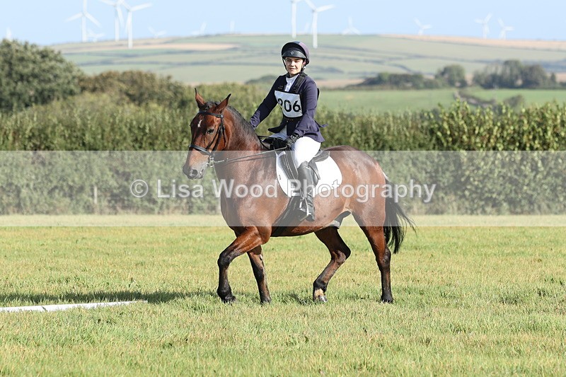 JPP_7930 - Class 2A: Trekenning Open: Dressage
