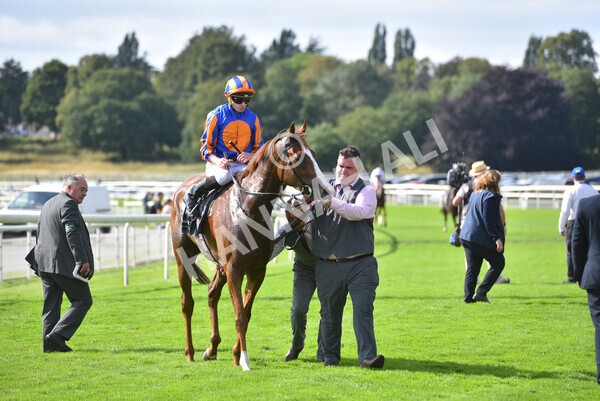 yr18082021r4-95 - Race 4 3.35pm Juddmonte International Stakes (British Champion Series race)