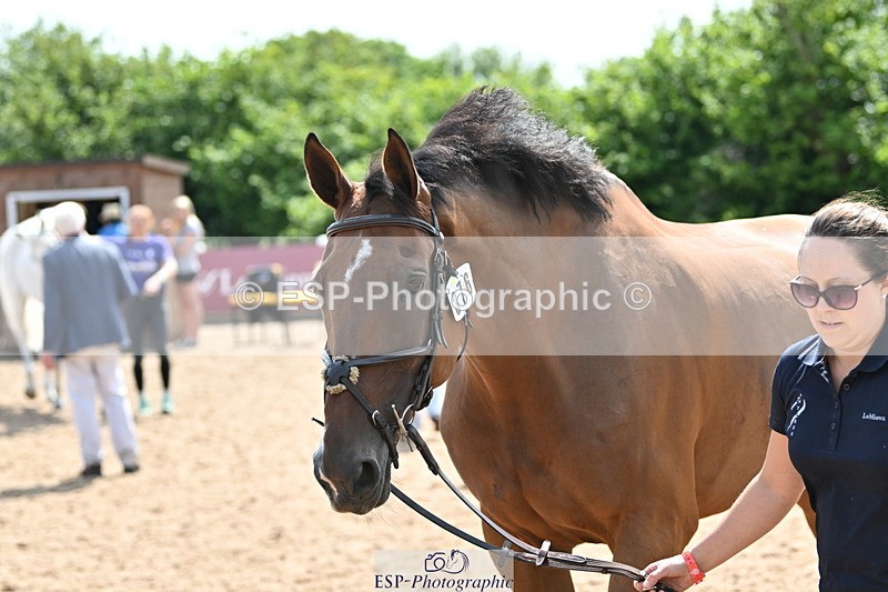 240717A-152036-02772 - Trot Up 3pm to 4pm