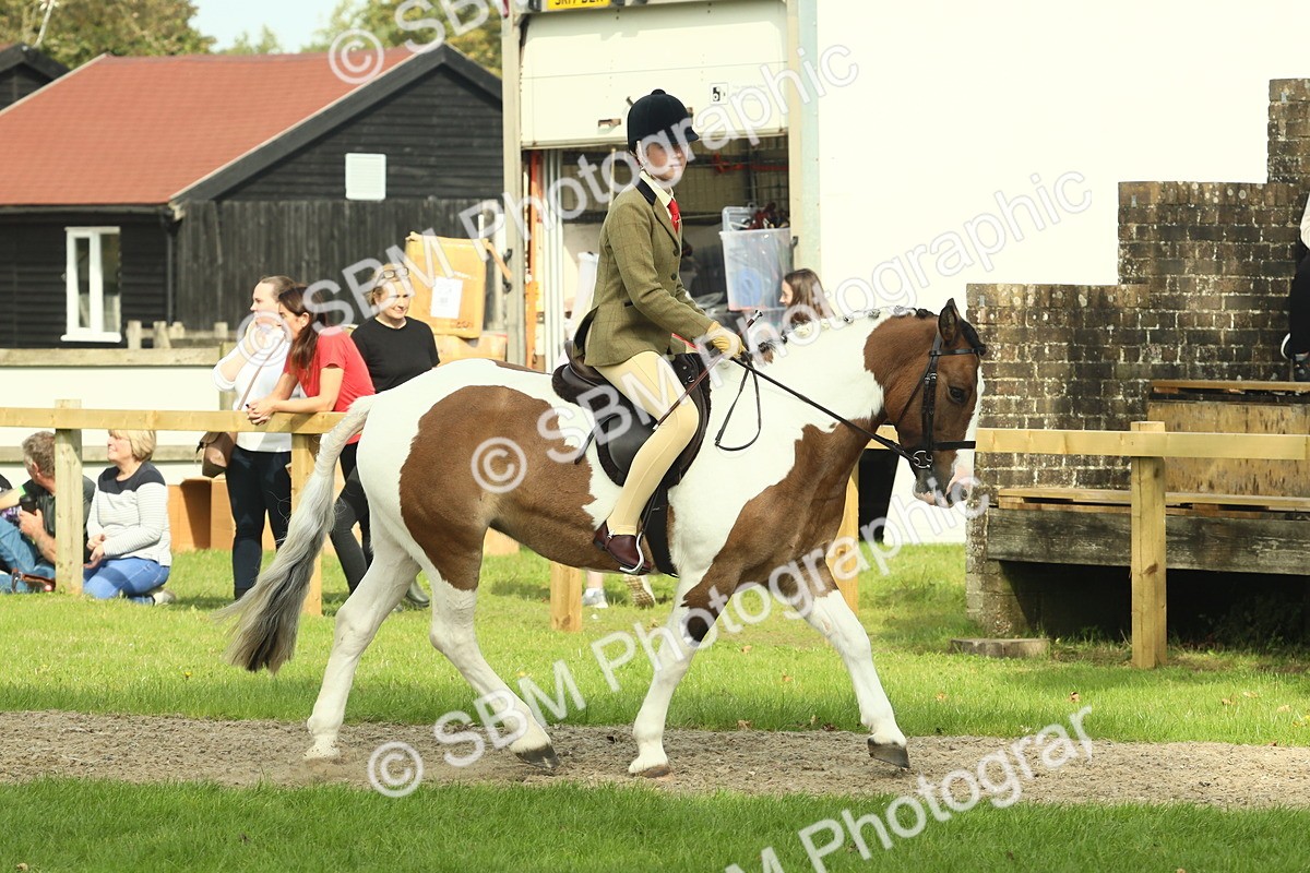 SBM_69023 - S58 - Mini Show Cob Ridden