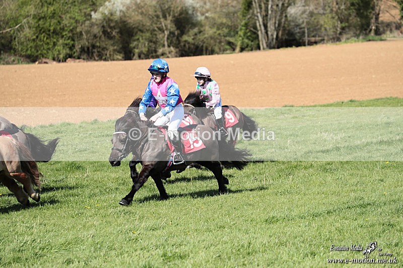 Shet 060426 294 - Shetland Pony Racing Paxford Races Easter Mon 06/04/26