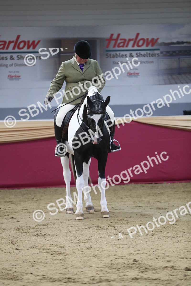 SBM_07268 - Class 10R Regional Ridden Diamond