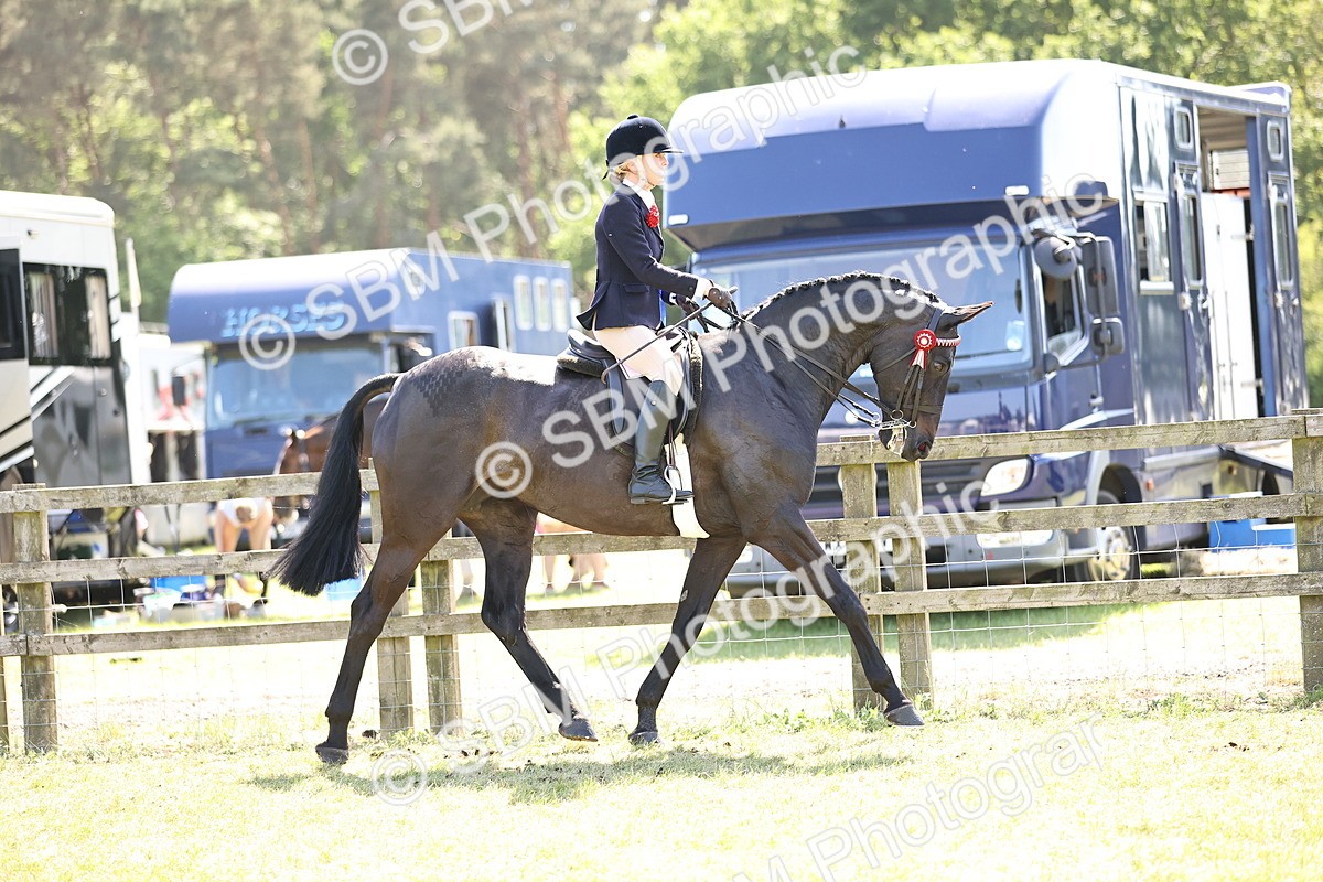 SBM_18078 - Class 81-83 - TSR Ridden Amateur of the Year - Horses