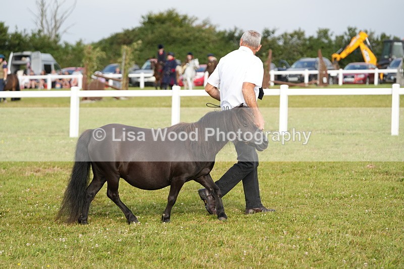 DSC04500 - Classes 44 & 45: NPS M&M Brood Mare and Foal