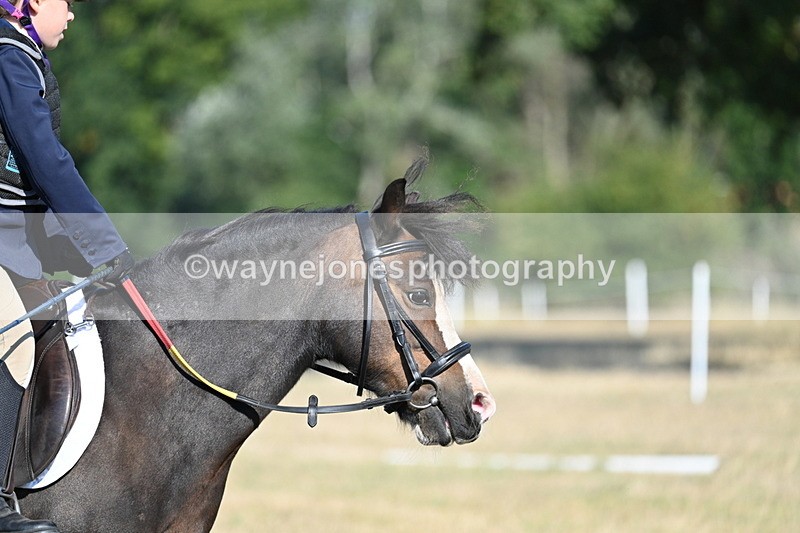 WJ7_8938 - Time 09:27 to 10:03