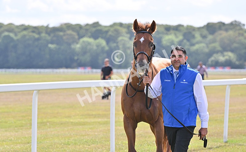 220826-041 Notable Speech - Race 3 15.00pm Sky Bet City Of York Stakes