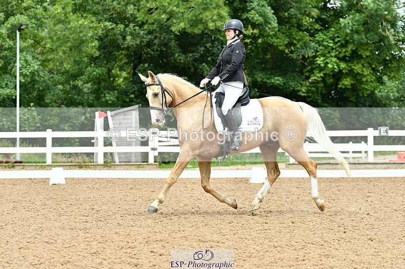 230701A-123828-05781 - Cls 7 Elementary 45