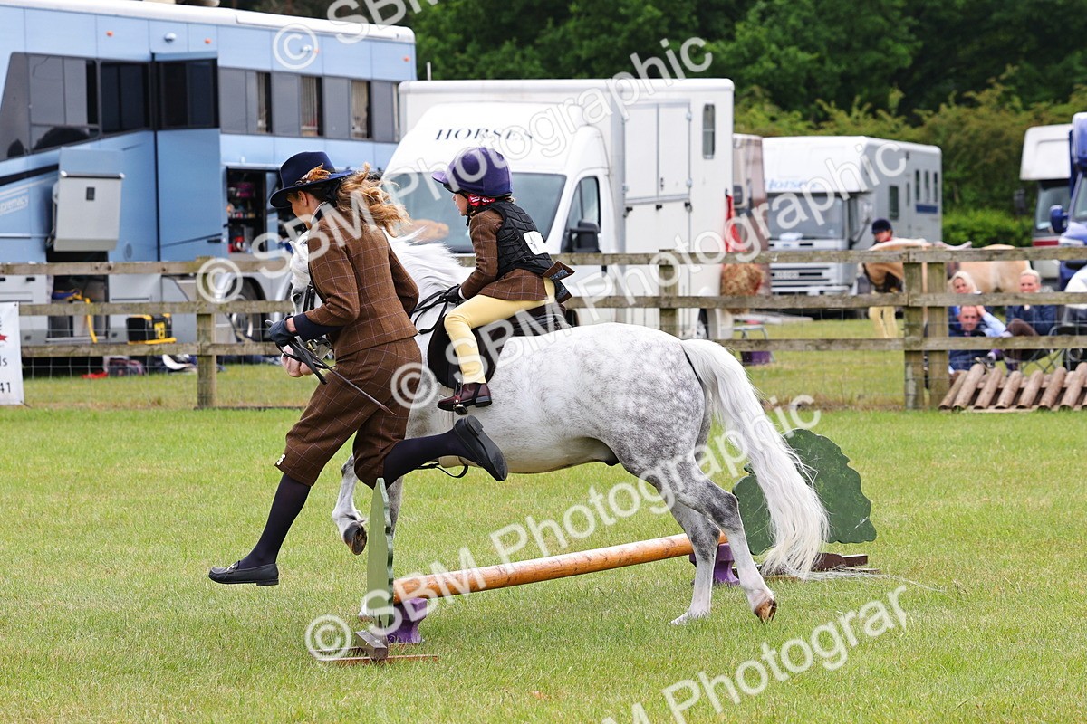 SBM_08267 - Class 42-43 - LIHS BSPS Heritage Working Sports Pony