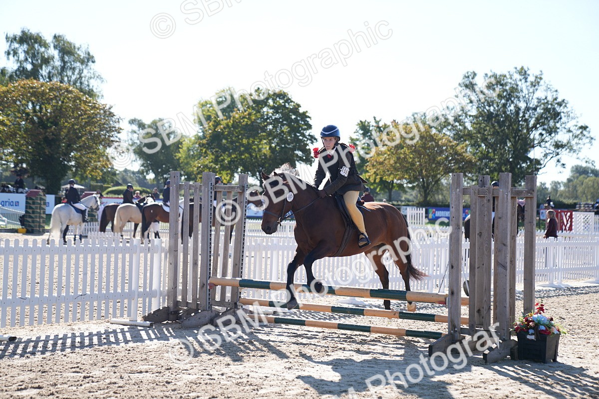 SBM_17520 - J58 - Clear Round 60cm