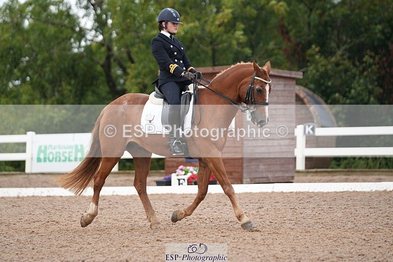 250907-154214-09619 - 122-India.JohnGrayswood.Orlando