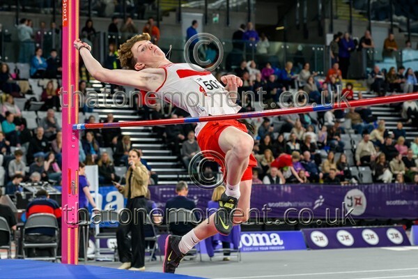 CEInv26-912981 - Field Male