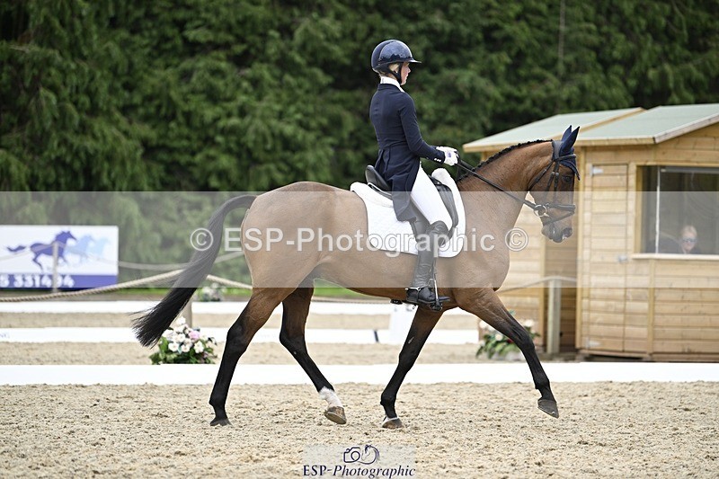 240523-144956-05114 - 442-FERNHILL_ZORO-Cassie_Sanger