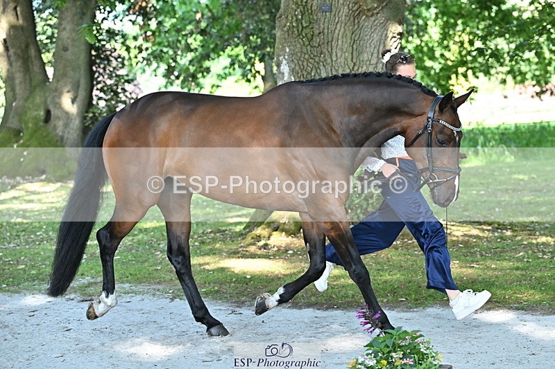 250521A-161357-01002 - C-210-Drew.Munro-DARLING.VAN.OVERIS.Z