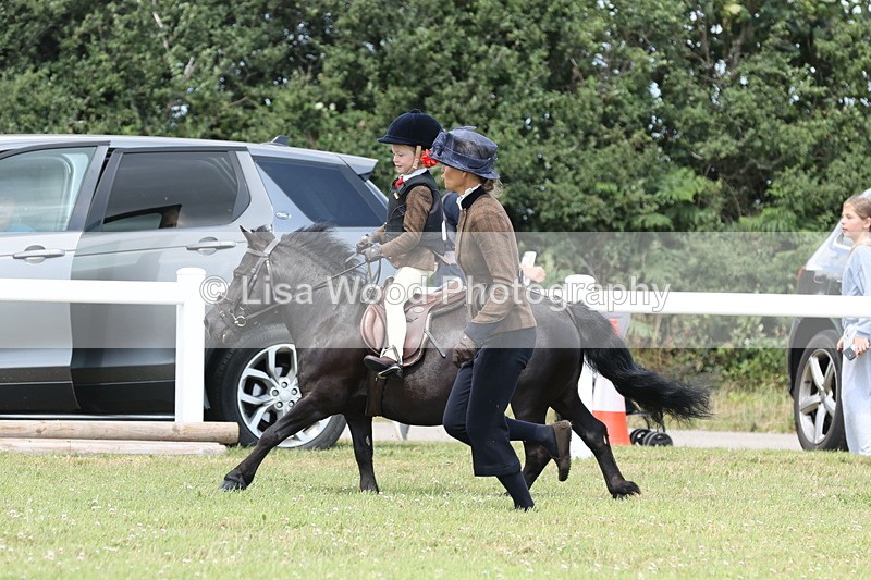 JPP_1899 - Class 18: Tiny Tots Working Hunter Pony